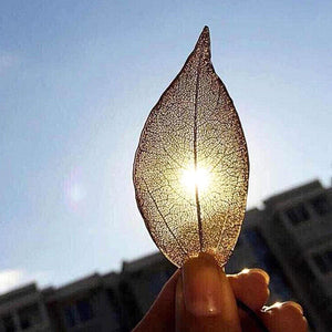 Special Leaf  Necklace